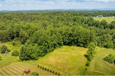 3.9Ac Pell Road, Westfield, NC 27053 - Photo 46