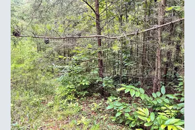 3.9Ac Pell Road, Westfield, NC 27053 - Photo 22