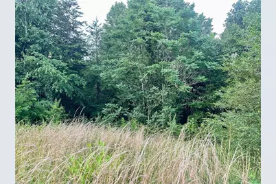 3.9Ac Pell Road, Westfield, NC 27053 - Photo 14