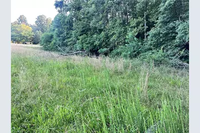 3.9Ac Pell Road, Westfield, NC 27053 - Photo 28