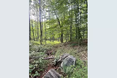 3.9Ac Pell Road, Westfield, NC 27053 - Photo 30