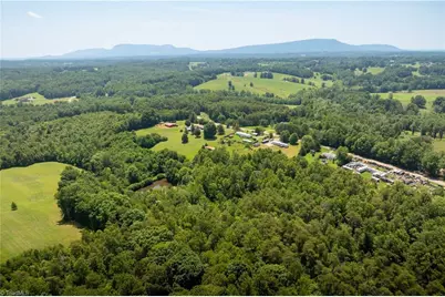 3.9Ac Pell Road, Westfield, NC 27053 - Photo 6