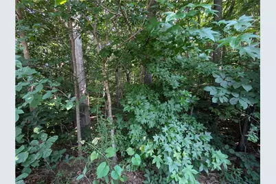 210 Birchwood Lane, Mocksville, NC 27028 - Photo 4