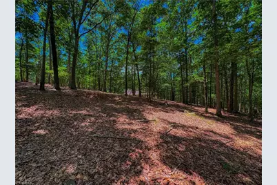 1560 Rocky Cove Lane, Denton, NC 27239 - Photo 8