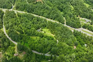 351 Colony Ln, Purlear, NC 28665 - Photo 8