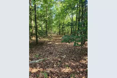 5364 Pisgah Covered Bridge Road, Asheboro, NC 27205 - Photo 8