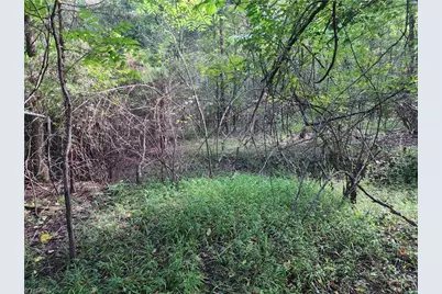 5364 Pisgah Covered Bridge Road, Asheboro, NC 27205 - Photo 12