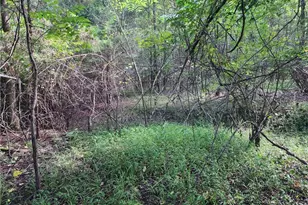 5364 Pisgah Covered Bridge Rd, Asheboro, NC 27205 - Photo 12