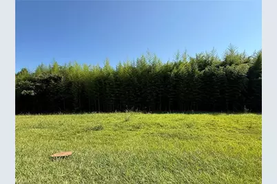 00 US Highway 311, Sophia, NC 27350 - Photo 1