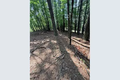 Lot 33 Jonathan Drive, Lowgap, NC 27024 - Photo 12