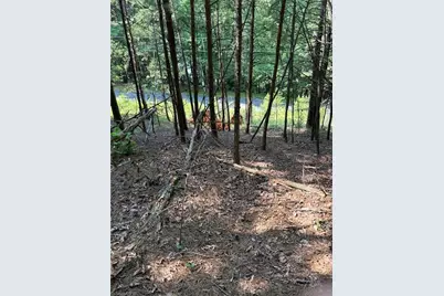 Lot 33 Jonathan Drive, Lowgap, NC 27024 - Photo 8