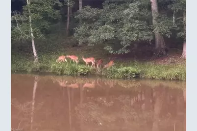 6517 Blazingwood Drive, Pfafftown, NC 27040 - Photo 38