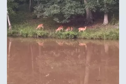 6517 Blazingwood Drive, Pfafftown, NC 27040 - Photo 32