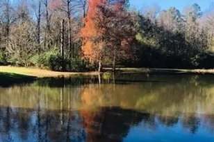 413 Stonewell Ct, Pleasant Garden, NC 27313 - Photo 16