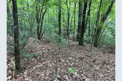 Lot 139 Pine Burr Drive, Purlear, NC 28665 - Photo 8