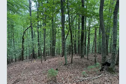 Lot 139 Pine Burr Drive, Purlear, NC 28665 - Photo 8