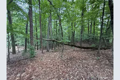 Lot 139 Pine Burr Drive, Purlear, NC 28665 - Photo 10