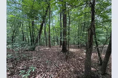 Lot 139 Pine Burr Drive, Purlear, NC 28665 - Photo 6