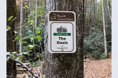 Lot 139 Pine Burr Drive, Purlear, NC 28665 - Photo 26