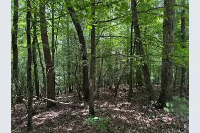 Lot 139 Pine Burr Drive, Purlear, NC 28665 - Photo 12