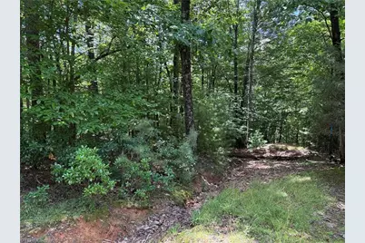 Lot 139 Pine Burr Drive, Purlear, NC 28665 - Photo 14