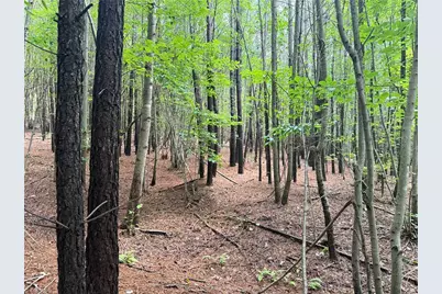 00 Rock Quarry Road, Pelham, NC 27311 - Photo 30