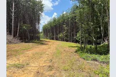 00 Rock Quarry Road, Pelham, NC 27311 - Photo 24