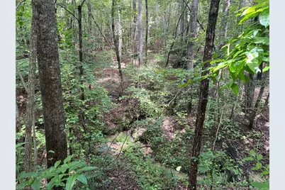 00 Rock Quarry Road, Pelham, NC 27311 - Photo 26