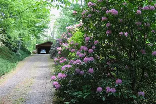 2636 Buck Mountain Rd, West Jefferson, NC 28694 - Photo 30