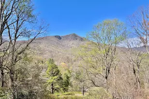 2636 Buck Mountain Rd, West Jefferson, NC 28694 - Photo 22