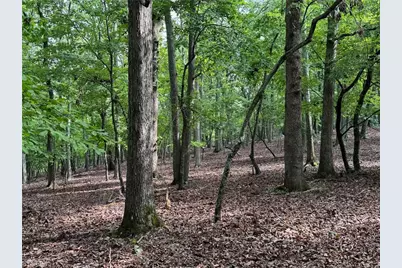 1695 Sierra Trace Road, Denton, NC 27239 - Photo 4