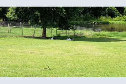 7205 Riley Lane, Climax, NC 27233 - Photo 14