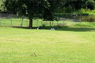 7205 Riley Ln, Climax, NC 27233 - Photo 14