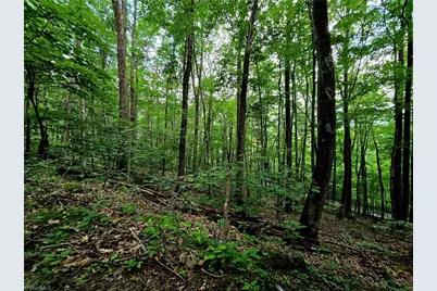 Tbd Red Fox Trail, Boone, NC 28607 - Photo 4