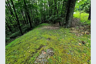 Tbd Red Fox Trail, Boone, NC 28607 - Photo 2