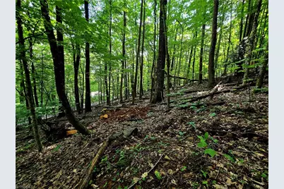 Tbd Red Fox Trail, Boone, NC 28607 - Photo 10