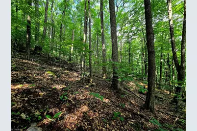 Tbd Red Fox Trail, Boone, NC 28607 - Photo 8