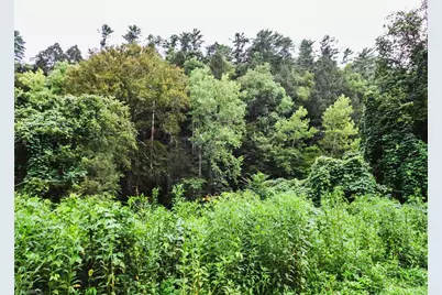 Tbd Ruritan Park Road, North Wilkesboro, NC 28659 - Photo 14