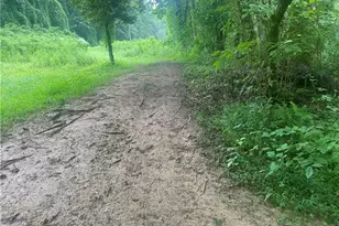 Tbd Ruritan Park Rd, North Wilkesboro, NC 28659 - Photo 1