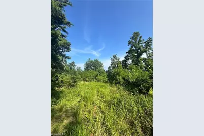 0 Nc Highway 16, Millers Creek, NC 28651 - Photo 10