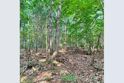 0 Nc Highway 16, Millers Creek, NC 28651 - Photo 22