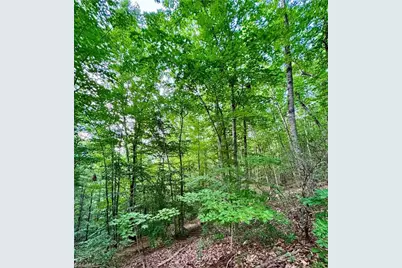 0 Nc Highway 16, Millers Creek, NC 28651 - Photo 20