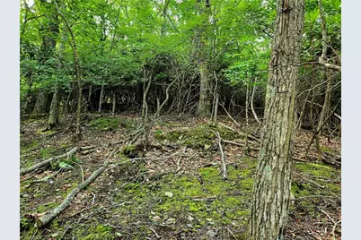 Tbd Red Fox Trail, Boone, NC 28607 - Photo 8