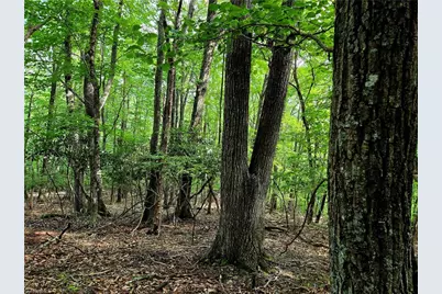 Tbd Red Fox Trail, Boone, NC 28607 - Photo 12