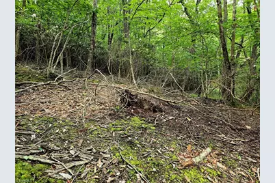 Tbd Red Fox Trail, Boone, NC 28607 - Photo 16