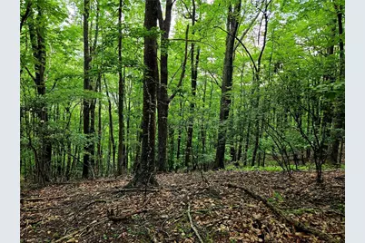 Tbd Red Fox Trail, Boone, NC 28607 - Photo 14