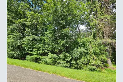 Tbd Holly Run, Glade Valley, NC 28627 - Photo 6