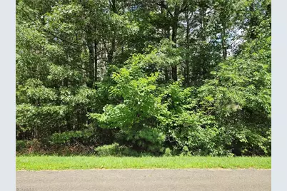 Tbd Holly Run, Glade Valley, NC 28627 - Photo 1