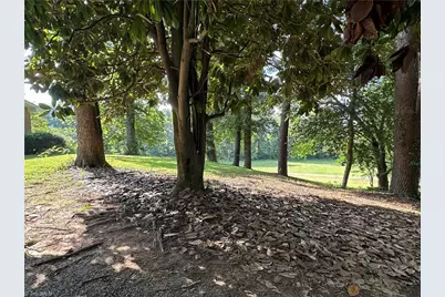 8736 US Highway 601, Dobson, NC 27017 - Photo 6