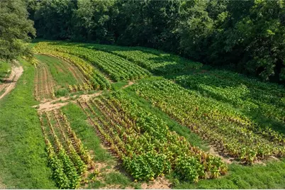 0 High Point Road, Kernersville, NC 27284 - Photo 10